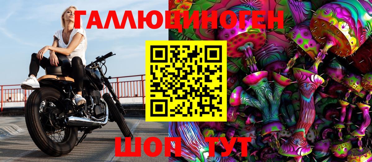 Экстази Кондопога