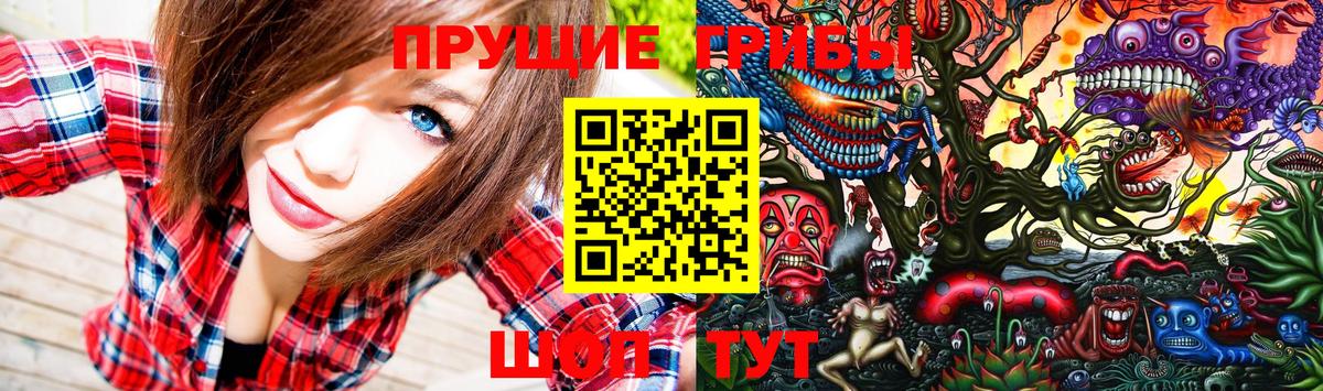 Псилоцибиновые грибы Magic Shrooms  Вход с VPN  Кондопога 